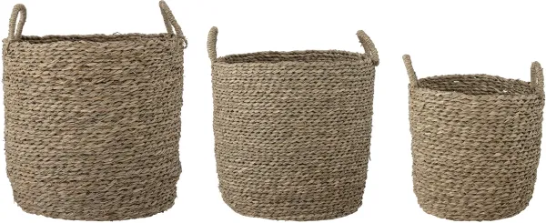 Maisie, Korg, natur, sjögräs